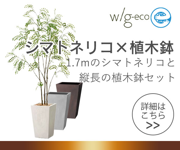 w/g eco　シマトネリコ×トールスクエア 170cm