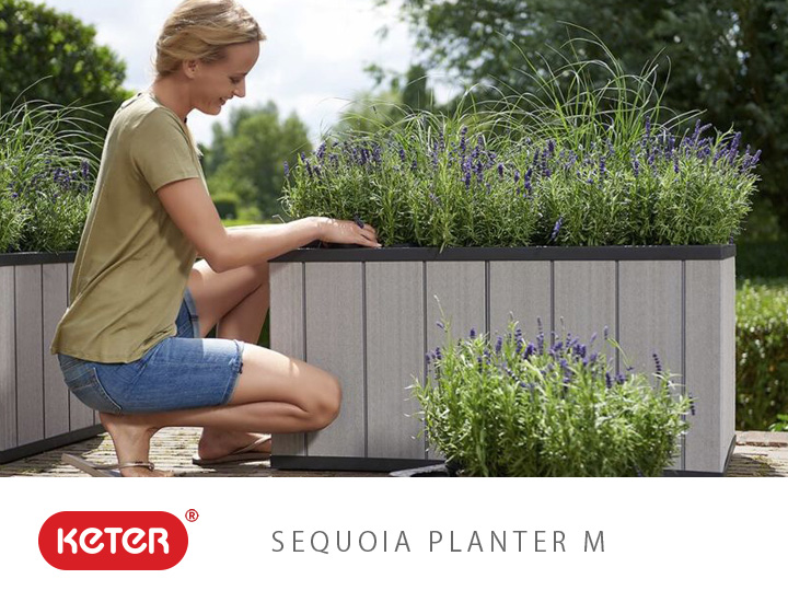 菜園植木鉢「ケター （KETER） セコイアプランター(Sequoia planter) Mサイズ」
