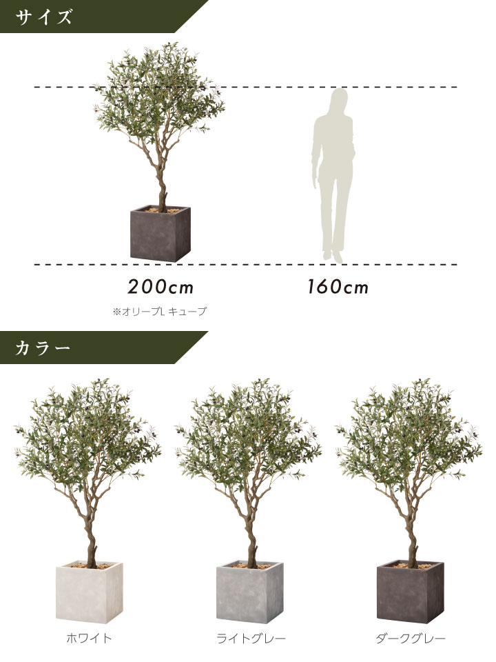 グリーン×プランターセット「w/g オリーブＬ×Cube」[高さ200cm・人工樹木・人工観葉植物]