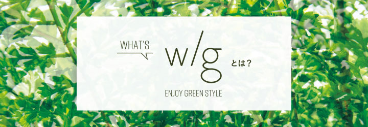 グリーン×プランターセット「w/g オリーブＬ×Round」[高さ210cm・人工樹木・人工観葉植物]
