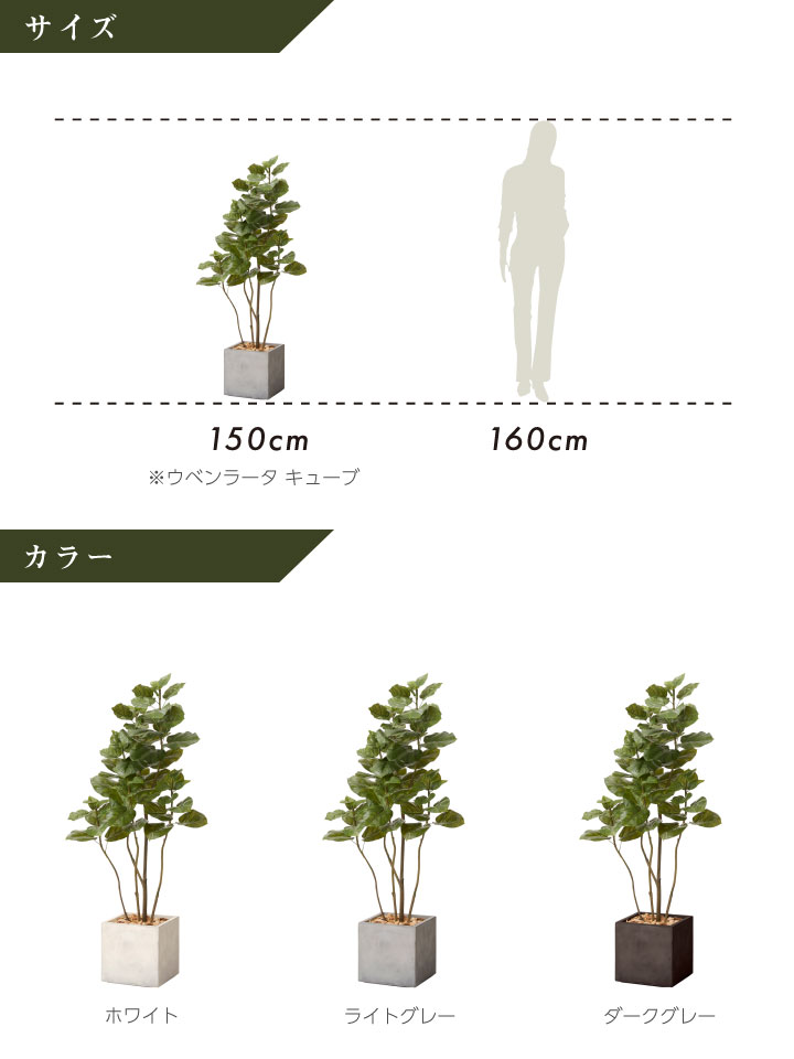 グリーン×プランターセット「w/g ウンベラータ×Cube」[高さ150cm・人工樹木・人工観葉植物]
