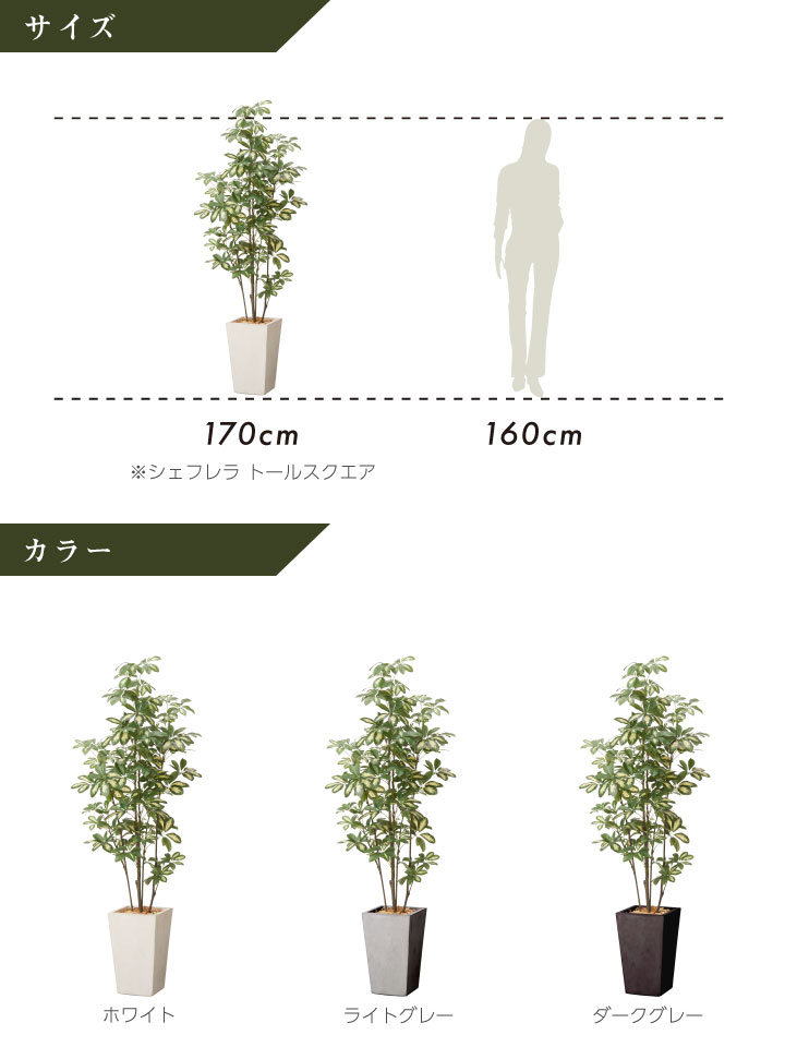 グリーン×プランターセット「w/g シェフレラ×Tall Square」[高さ170cm・人工樹木・人工観葉植物]