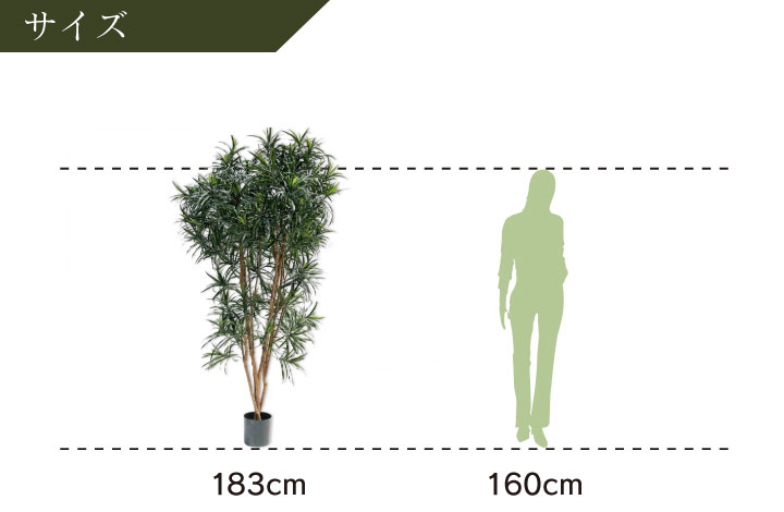 大型 フェイクグリーン「ドラセナ 183cm シルカ（Silk-ka）」おしゃれ リアル 人工観葉植物 樹木 インテリアグリーン 幸福の木