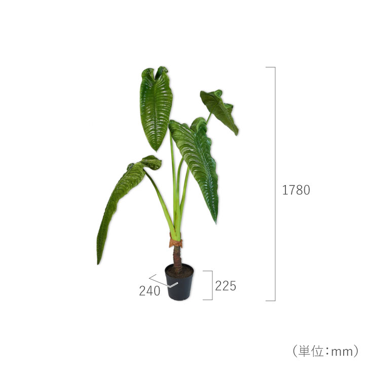 アロカシア 178cm（ALOCASIA GREEN 178 cm） 127410 シルカ（Silk-ka）