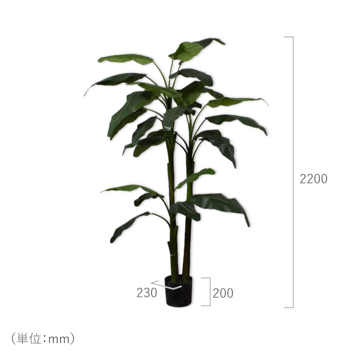 バナナ 220cm（BANANA PLANT GREEN 220 cm） 131013 シルカ（Silk-ka）