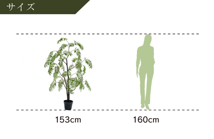 パーム 153cm（PALM GREEN 153 cm） 132051 シルカ（Silk-ka）