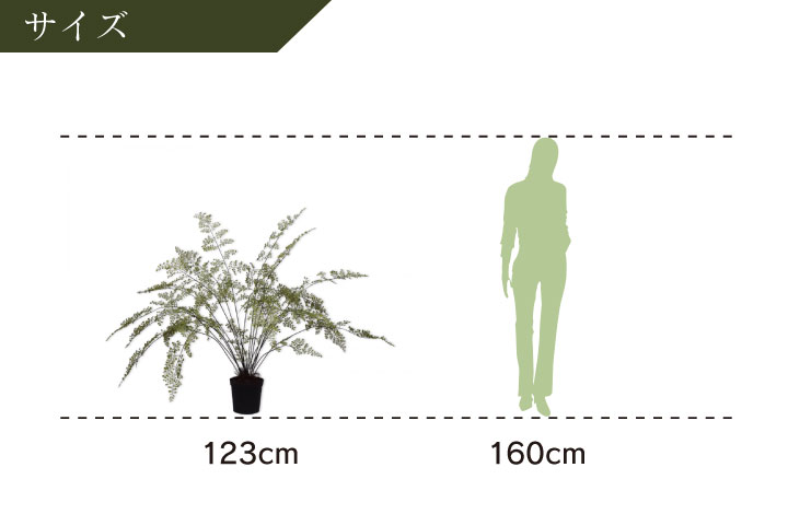 ファーン（パーム） 123cm（PALM GREEN 123 cm） 138355 シルカ（Silk-ka）
