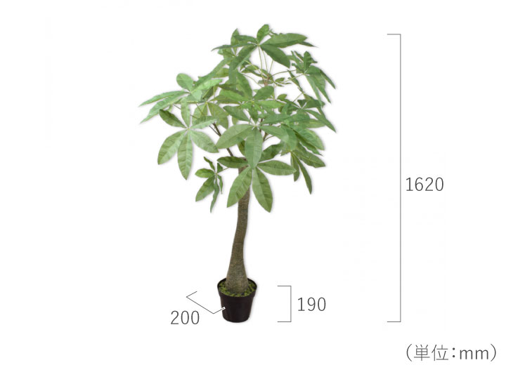 大型 フェイクグリーン「シェフレラ 162cm シルカ（Silk-ka）」おしゃれ リアル 人工観葉植物 樹木 インテリアグリーン カポック