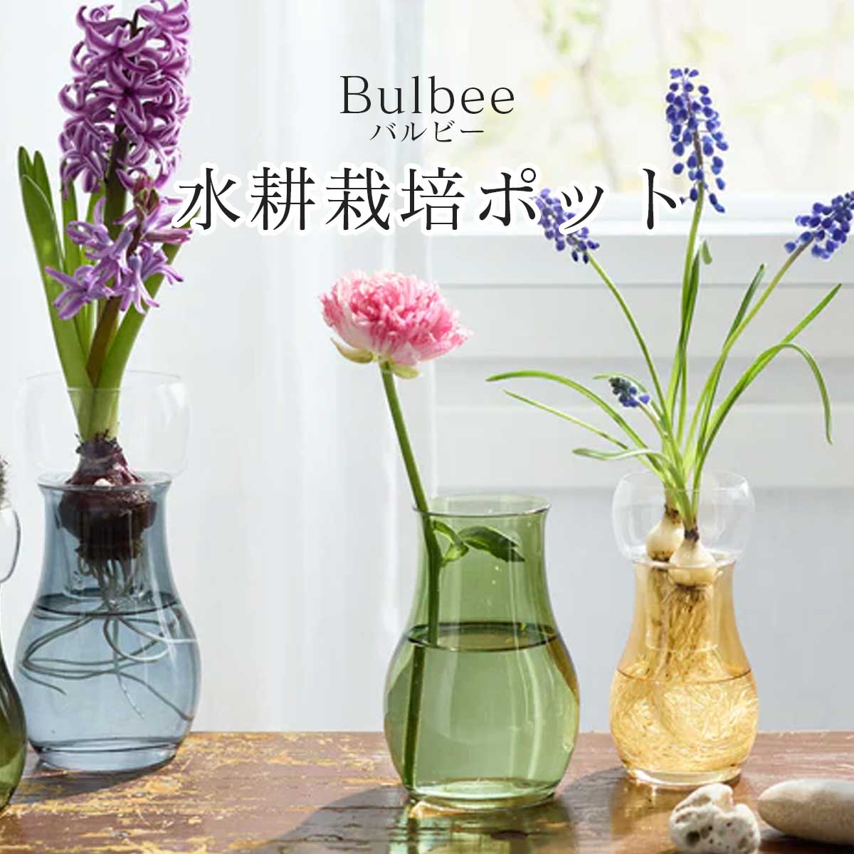 水耕栽培 花瓶 2WAYで楽しめる ガラスポット 「 Bulbee（バルビー） 」