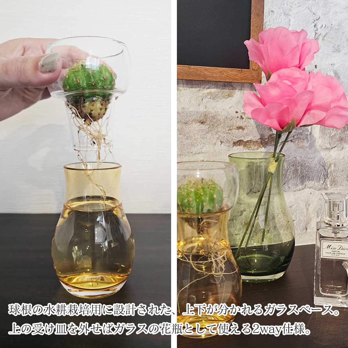 球根の水耕栽培用に設計された、上下が分かれるガラスベース。上の受け皿を外せばガラスの花瓶として使える2way仕様。