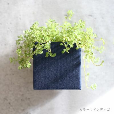 着せ替えできる壁掛けボックス 「プランターボックス ハコトコ（hacotoco） キューブ 3個セット W110×H110×D117mm」