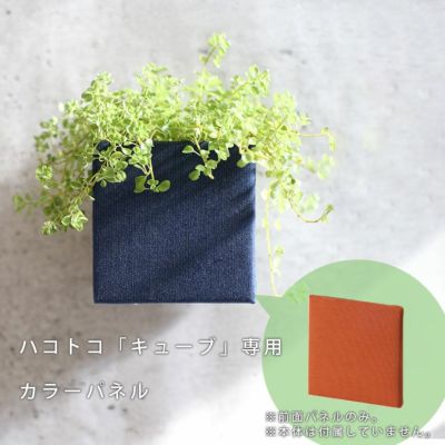 着せ替えできる壁掛けボックス 「プランターボックス ハコトコ（hacotoco）オプション キューブ専用カラーパネル 1枚 110mm角」