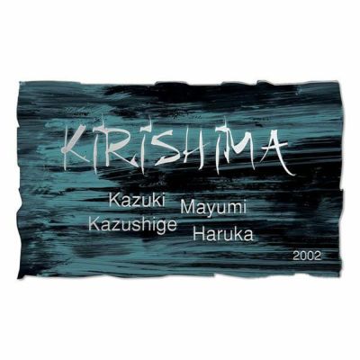 「ステンレス表札 シンプル18」