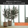 最近ではおしゃれなショップやリゾートホテルなどの施設でも大型の鉢植えをよく見かけます。おしゃれなプランターは植物をより一層美しく魅せてくれます。万が一枯れてしまった時の植え替えの手間も、直植えと比べて軽減できるなどのメリットもあります。