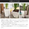 直植えする場合、お使いの土によっては水やり後に土の色素を含んだ水染みが発生し、鉢が乾燥した後でもプランター表面に色が残る場合があります。商品の素材の特性上、水染みは避けられませんので、水染みが気になる場合は鉢カバーとしてのご利用をおすすめします。