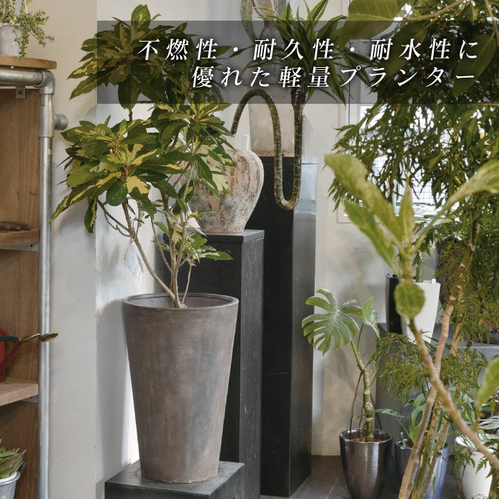 クレイポット（CLAYPOT） キューブ43（Cube 43）」おしゃれ 特大・大型 植木鉢 14号鉢相当 容量75L 高さ43cm 幅・奥行44cm  底穴あり | JUICY GARDEN