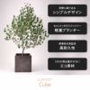 空間に溶け込むシンプルなでサイン。セメント+ガラスファイバーで作られているため軽量。耐寒性を実証済で高耐久性がるプランター。CO2の排出量が少ないエコ素材。