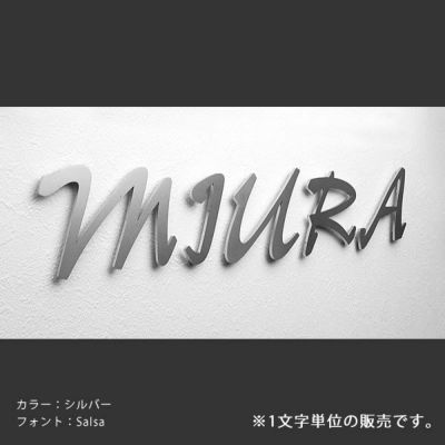 切り文字ステンレス表札 「グラム 無地タイプ  ※1文字」