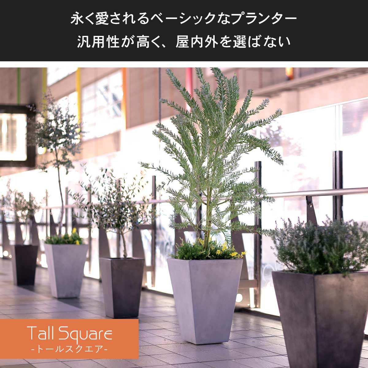 トールスクエアシリーズは、永く愛されるベーシックなプランターです。汎用性が高く、屋内外を選ばず置くことができます。