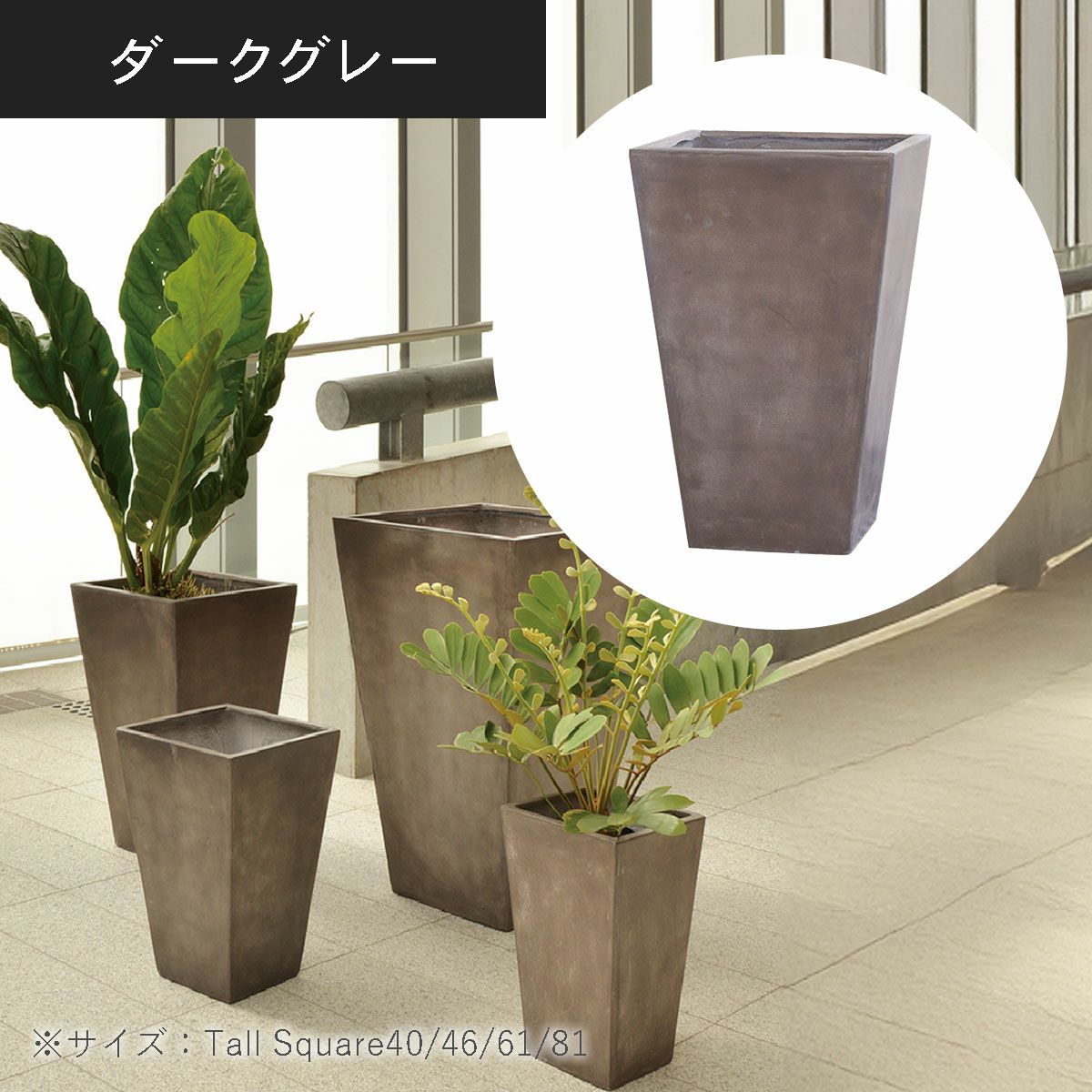 トールスクエア40、46、61、81（高さ40cm、46cm、62cm、80cm）のダークグレーの設置イメージ画像。