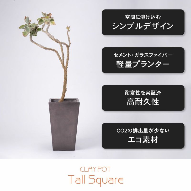中型 8号鉢対応 鉢カバー 「 クレイポット（CLAYPOT） トール