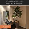 トールラウンドシリーズは、永く愛されるベーシックなプランターです。汎用性が高く、屋内外を選ばず置くことができます。