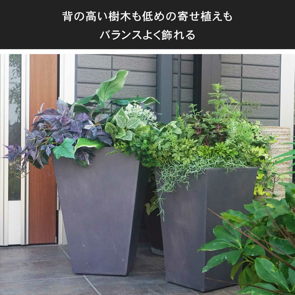 トールラウンドの鉢は背の高い樹木も低めの寄せ植えもバランスよく飾れる形状です。