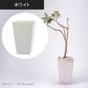 トールスクエア81（高さ81cm）のホワイトの設置イメージ画像。