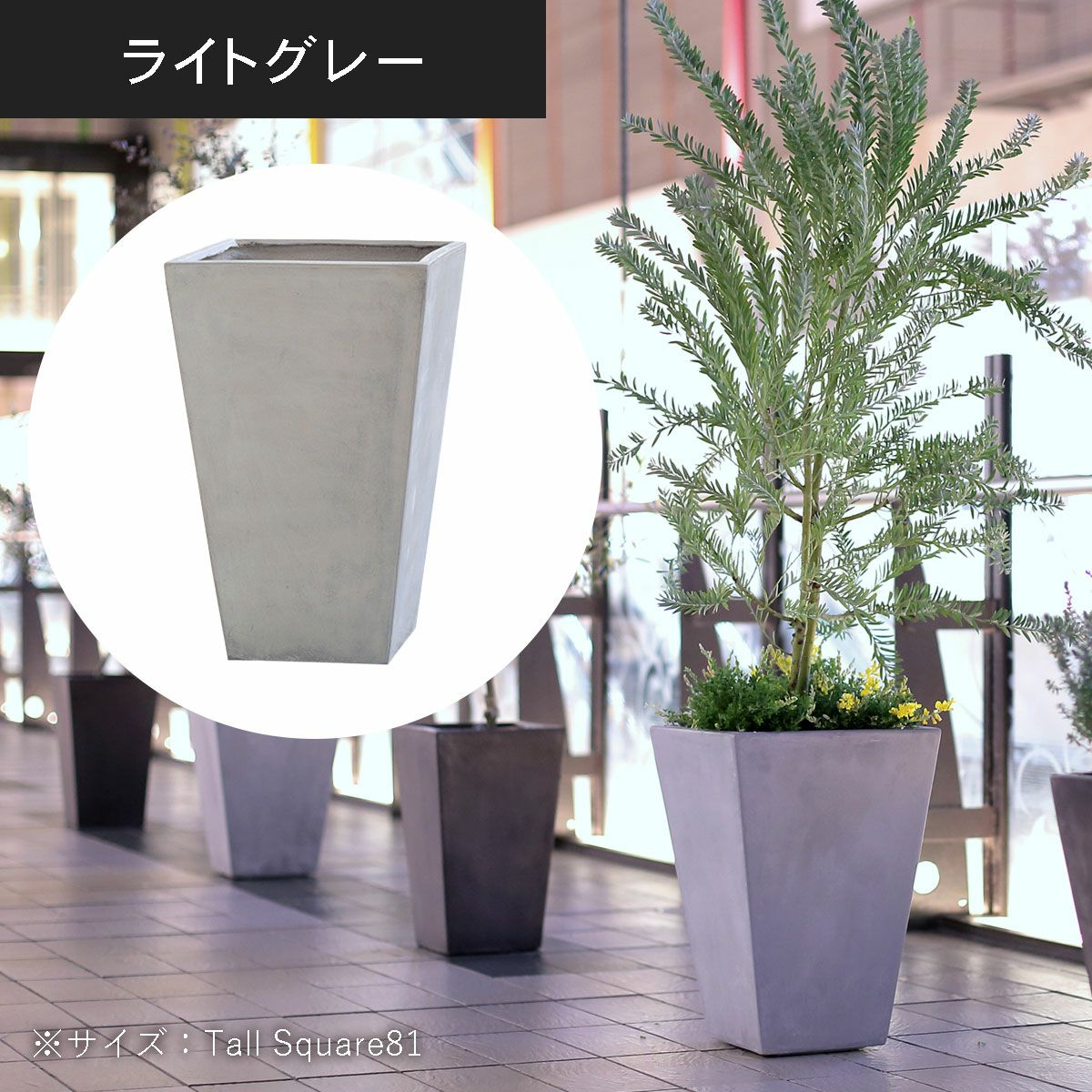 トールスクエア81（高さ81cm）のライトグレーの設置イメージ画像。