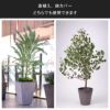 おすすめの使用方法は鉢カバー。植物を中に入れてウッドチップなどで目隠しするだけなので簡単。フェイクグリーンを中に入れるとメンテナンスの必要がありません。