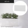 ハイレクタングル100（高さ51cm）のホワイトの設置イメージ画像。