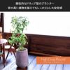 トールラウンドシリーズは個性的なドロップ型のプランターです。背の高い植物を植えてもしっかりとした安定感があります。