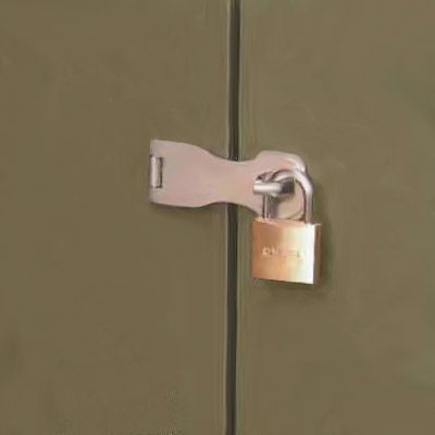 「メタルシェッドオプション 補助錠 ハプス＆パドロック＜兆番＋南京錠＞」【メタルシェッド本体別売】