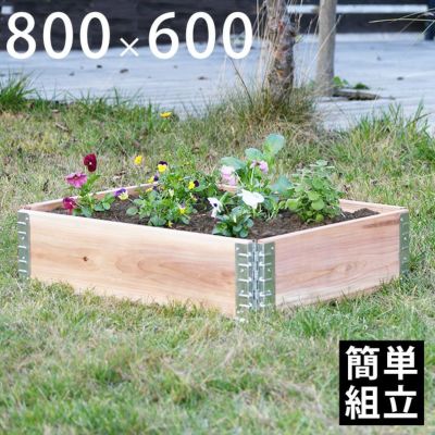 木製プランター 「a+ design ガーデンボックス 800×600 ナチュラル」