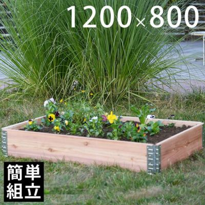 木製プランター 「a+ design ガーデンボックス1200×800 ナチュラル」