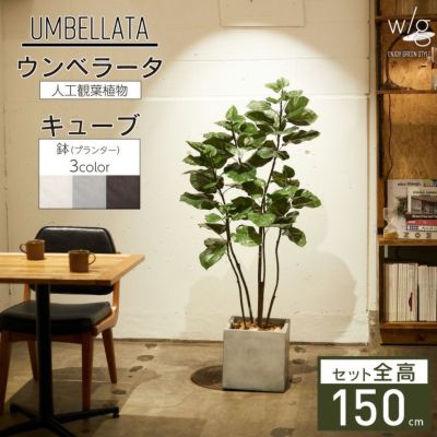 フェイクグリーン リアル 大型「ウンベラータ×Cube w/g」[高さ150cm・人工樹木・人工観葉植物 鉢セット]