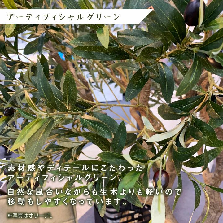 フェイクグリーン リアル 大型「ウンベラータ×Cube w/g」[高さ フェイクグリーン リアル 大型「ウンベラータ×Cube w/g」[高さ