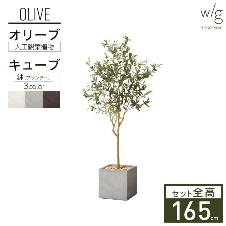 フェイクグリーン×プランターセット「オリーブS×Cube w/g」[高さ