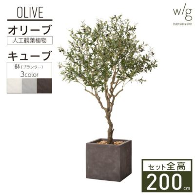 フェイクグリーン×プランターセット「オリーブＬ×Cube w/g」[高さ200cm・人工樹木・人工観葉植物]