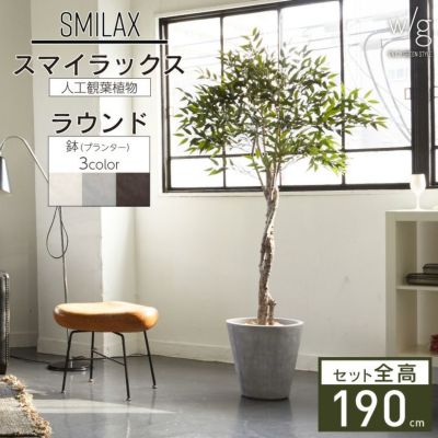 フェイクグリーン×プランターセット「スマイラックス×Round w/g」[高さ180cm・人工樹木・人工観葉植物]