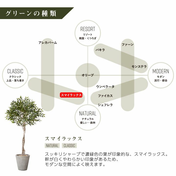 フェイクグリーン×プランターセット「スマイラックス×Round w/g」[高さ 