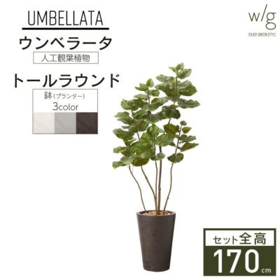 フェイクグリーン×プランターセット「ウンベラータ×Tall Round w/g」[高さ170cm・人工樹木・人工観葉植物]