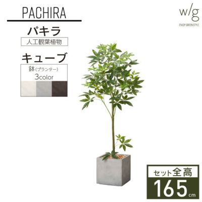 フェイクグリーン×プランターセット「パキラ×Cube w/g」[高さ165cm・人工樹木・人工観葉植物]