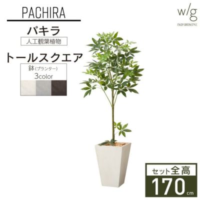 フェイクグリーン×プランターセット「パキラ×Tall Square w/g」[高さ170cm・人工樹木・人工観葉植物]