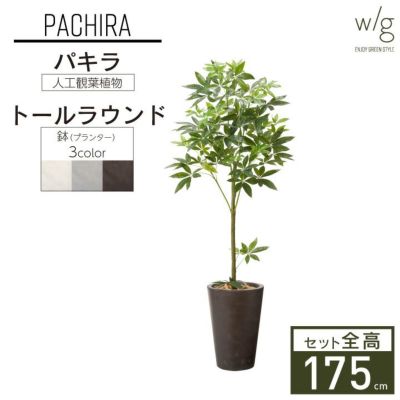 フェイクグリーン×プランターセット「パキラ×Tall Round w/g」[高さ175cm・人工樹木・人工観葉植物]