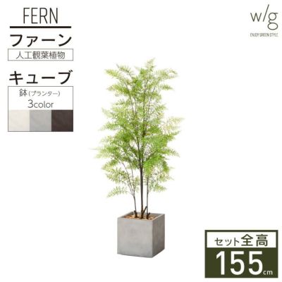 フェイクグリーン×プランターセット「ファーン×Cube w/g」[高さ155cm・人工樹木・人工観葉植物]