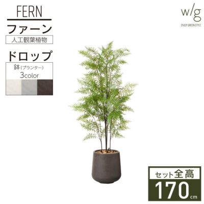 フェイクグリーン×プランターセット「ファーン×Drop Round w/g」[高さ170cm・人工樹木・人工観葉植物]