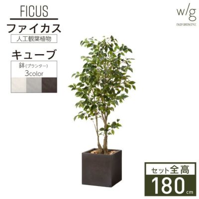 フェイクグリーン×プランターセット「ファイカス×Cube w/g」[高さ180cm・人工樹木・人工観葉植物] フィカス