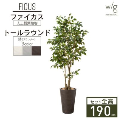 フェイクグリーン×プランターセット「ファイカス×Tall Round w/g」[高さ190cm・人工樹木・人工観葉植物] フィカス