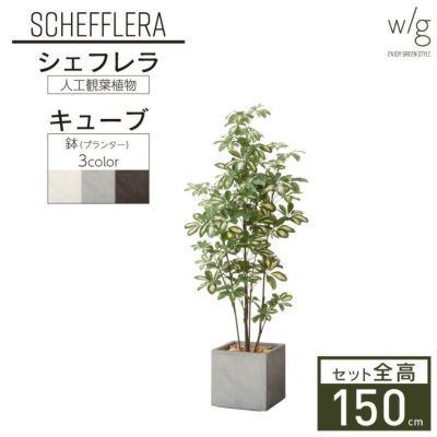 フェイクグリーン×プランターセット「シェフレラ×Cube w/g」[高さ150cm・人工樹木・人工観葉植物]
